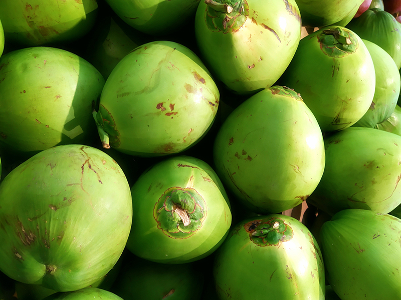Freshnet farms Pollachi